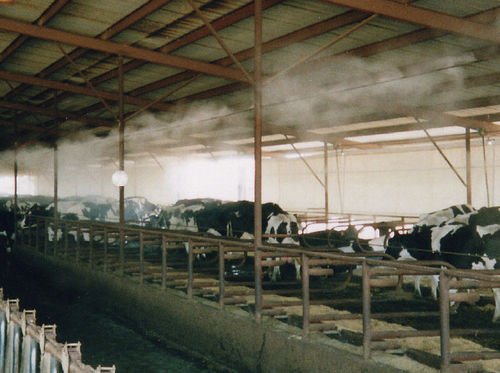 Увлажнитель для мелкого разбрызгивания - AE-YAS - Intermilk - для хлева / автоматическое