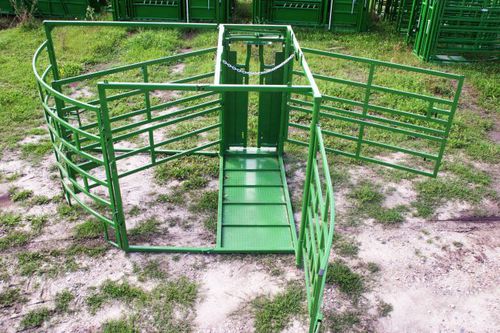 Клетка для рождения - Realtuff