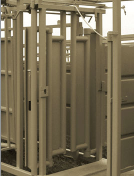Станок для фиксации скота для крупного рогатого скота - Realtuff - с центрирующим зажимом