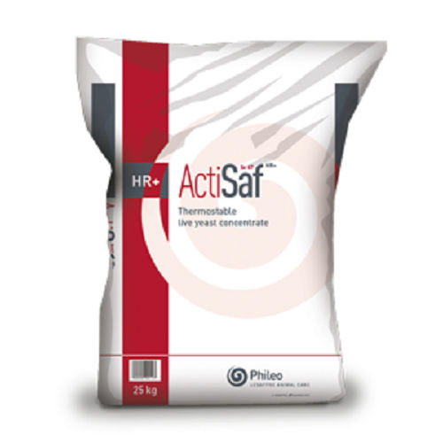 Кормовая добавка для животных - Actisaf® Series - phileo-lesaffre - для крупного рогатого скота / для лошадей / для свинины