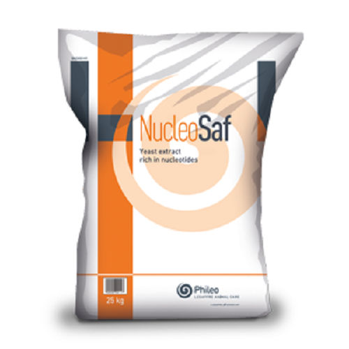 Кормовая добавка для животных - Nucleosaf®600 - phileo-lesaffre - для крупного рогатого скота / для домашней птицы / для свинины
