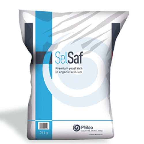 Кормовая добавка для животных - Selsaf® - phileo-lesaffre - для крупного рогатого скота / для домашней птицы / для лошадей