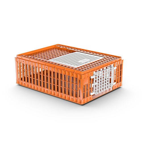 Корзина для перевозки для кур - 0102002.01 - Giordano Global - из пластика