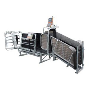 Станок для фиксации КРС для овец - Auto Weigh Sheep Handler - farmquip - гидравлический / с системой взвешивания