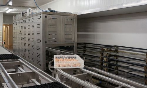 Система для транспортировки яиц для столовых яиц - Transfer de(stacker) - ME International Installation GmbH - автоматическая