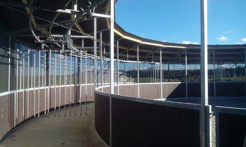 Круглая водилка для лошадей - Rail-Gliding - Molenkoning BV - овальная