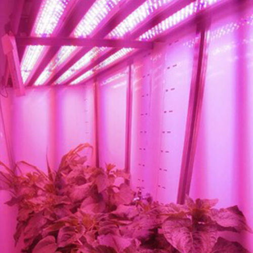 Камера для растений для роста растений - MPC - Laboratory Infrastructure Solutions - для проращивания / для хранения семян / для исследований