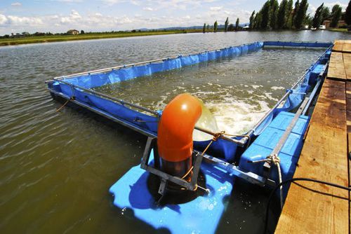 Емкость для разведения для аквакультуры - acquaeco - для вылупления рыбы / для вырастания рыбы / прямоугольная