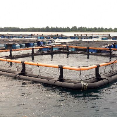 Сеть для аквакультуры для разделения резервуара с водой - FY-250SC7,FY-250SC9,FY-315SC11,FY-315SC13		 - Toford - анти-хищник / нейлоновая / для квадратной клетки
