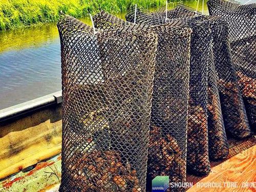 Сетчатая корзина для устриц для роста - aquaculture cage
