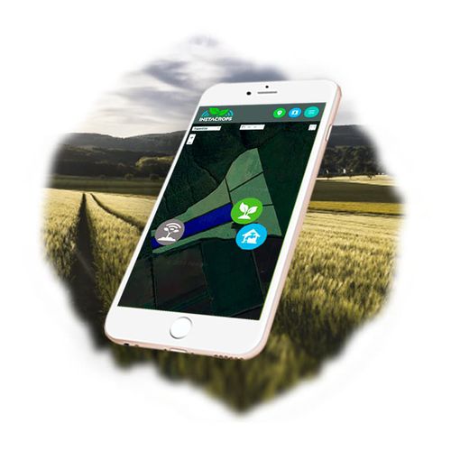 Мобильное приложение для управления - CROP ADVISOR - INSTACROPS - для управления данными / сельскохозяйственное