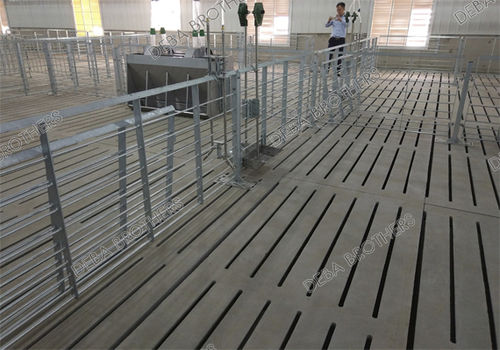 Клетка для рождения решетчатый настил - Finishing Stall_3 - Qingdao Deba Brother Machinery Co.,Ltd