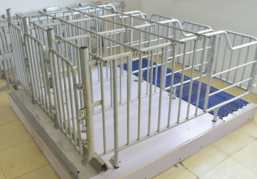Клетка для вынашивания решетчатый настил - Gestation stall_1 - Qingdao Deba Brother Machinery Co.,Ltd