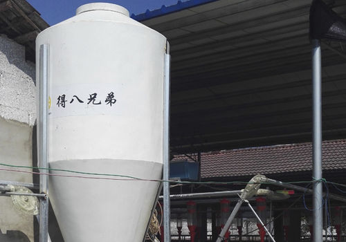 Зернохранилище для питания животных - Silo_2 - Qingdao Deba Brother Machinery Co.,Ltd - из металла / круглое / с коническим дном