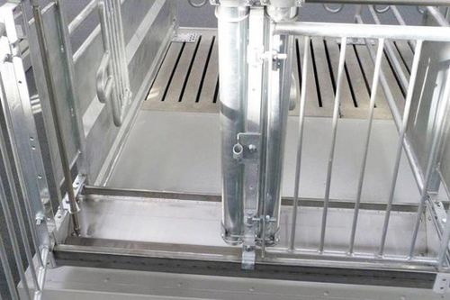 Кормушка для свиноматки - Qingdao Chima Asia Machinery Co., Ltd - из нержавеющей стали / из стали / индивидуальная