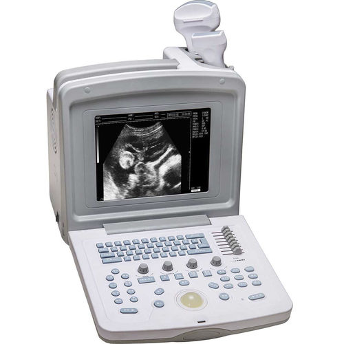 Переносной ветеринарный эхограф - WED-180V - Shenzhen Well.D Medical Electronics - для небольших животных / для крупных животных / черно-белый