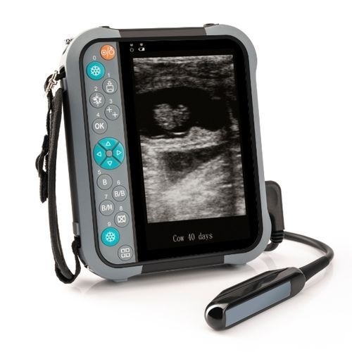 Черно-белый ветеринарный эхограф - M5V - Shenzhen Well.D Medical Electronics - портативный / для крупных животных / линейный