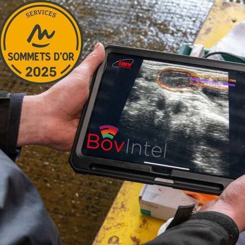Портативный ветеринарный эхограф - BovIntel - IMV Technologies - для крупного рогатого скота / линейный / выпуклый