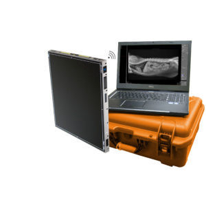 Плоскопанельный детектор для ветеринарной радиографии - DR Wizard Pro - Diagnostic Imaging Systems - 14x17 / прямое преобразование / беспроводной