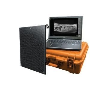 Плоскопанельный детектор для ветеринарной радиографии - DR Wizard EZ - Diagnostic Imaging Systems - 14x17 / прямое преобразование / цифровой
