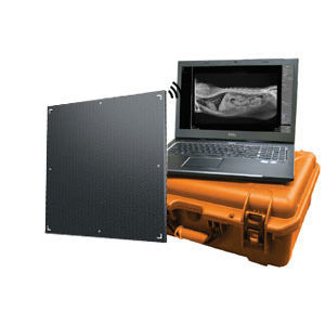 Плоскопанельный детектор для ветеринарной радиографии - DR Wizard EZ - Diagnostic Imaging Systems - 17x17 / прямое преобразование / цифровой