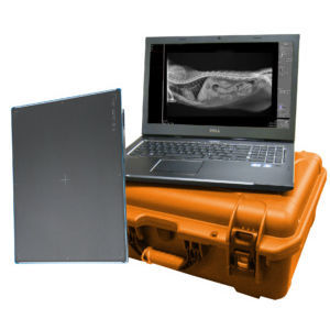 Плоскопанельный детектор для ветеринарной радиографии - DR Wizard 2.0 - Diagnostic Imaging Systems - 14x17 / прямое преобразование / цифровой