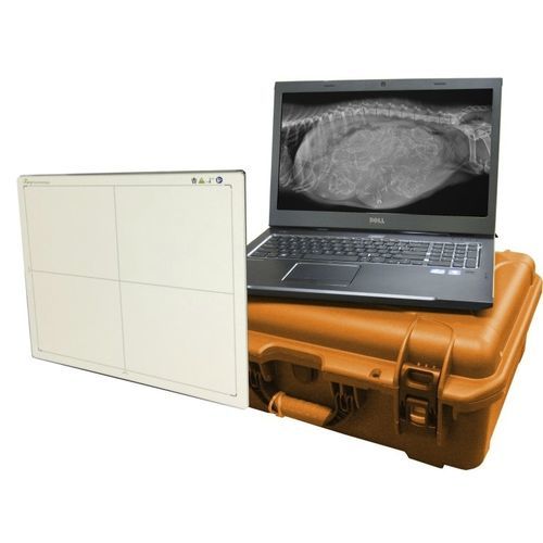 Плоскопанельный детектор для ветеринарной радиографии - DR-Wizard - Diagnostic Imaging Systems - 14x17 / прямое преобразование / цифровой
