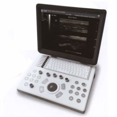 Переносной ветеринарный эхограф - iuStar100 B/W Vet - Diagnostic Imaging Systems - для крупного рогатого скота / для лошади / для небольших животных