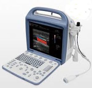 Переносной ветеринарный эхограф - iuStar160Vet - Diagnostic Imaging Systems - для небольших животных / выпуклый / для абдоминальной визуализации