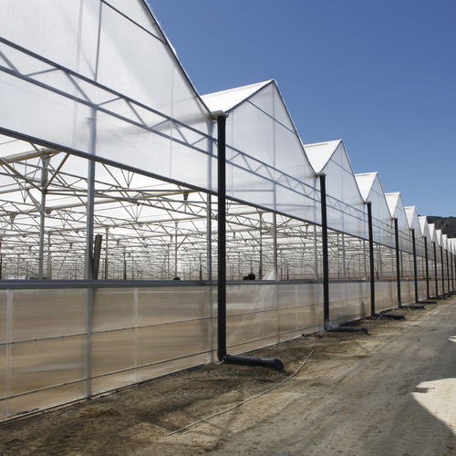 Теплица с несколькими сводами - NEW GROWING SYSTEM S.L. - промышленная / из пластика