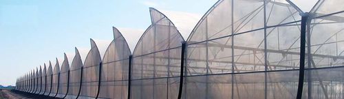 Многотуннельная теплица - APA series - NOVAGRIC (Novedades Agrícolas, S.A.) - из пластика / постоянная