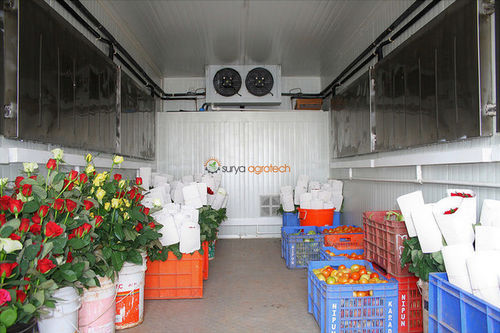 Охладитель для цветов - SURYA AGROTECH THAILAND CO LTD - для хранения