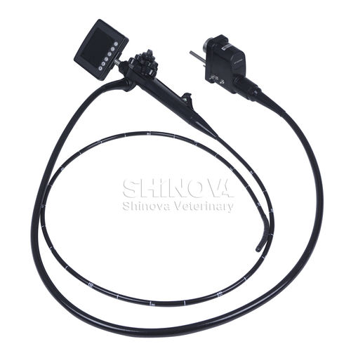 Гибкий ветеринарный эндоскоп - Gastrix 85V - shinova vet - для небольших животных / пищеварительный / видео