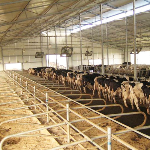 Стойло - hengyin livestock
