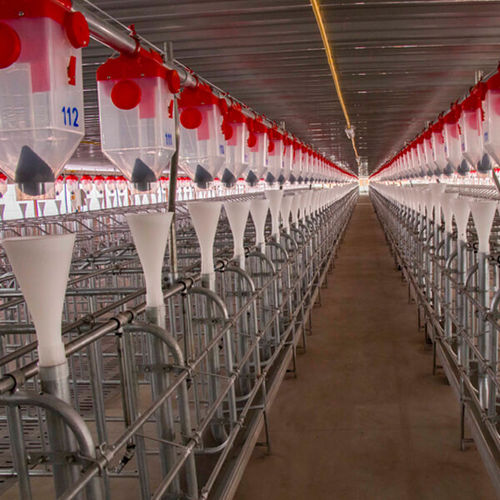 Оборудование для кормления для свинины - HY-AF180 - hengyin livestock - стационарное / сухой корм