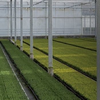 Защитный чехол для теплицы - DURATERMIC STANDARD - Solplast S.A. - анти-УФ / тепловой / из перерабатываемых материалов