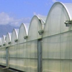 Пленка для теплицы - INDASOL STANDARD - Solplast S.A. - для защиты от УФ / термический эффект / с охлаждающим действием