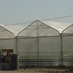 Пленка для теплицы - INDASOL CRYSTAL - Solplast S.A. - для защиты от УФ / термический эффект / с охлаждающим действием