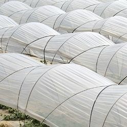 Пленка для туннеля - TUNESOL Diffuse - Solplast S.A. - из LDPE / из ЭВА / термический эффект