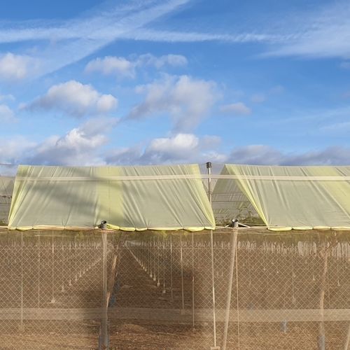 Тепловой защитный чехол - SOLGRAPES - Solplast S.A. - из перерабатываемых материалов