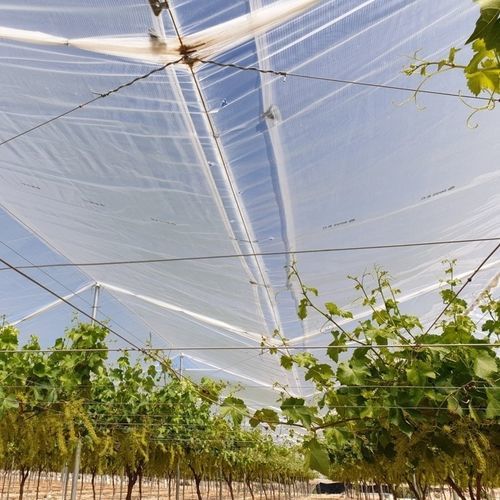 Тепловой защитный чехол - SOLFRUT - Solplast S.A. - из перерабатываемых материалов