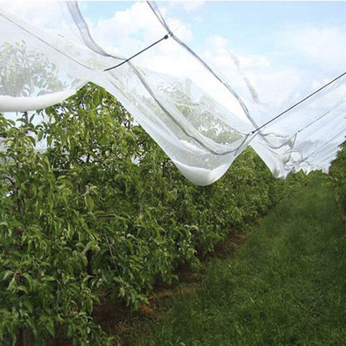 Сетка для защиты от града - AGRONEW CO., LTD - затеняющая / ветрозащитная / из ПЭНД