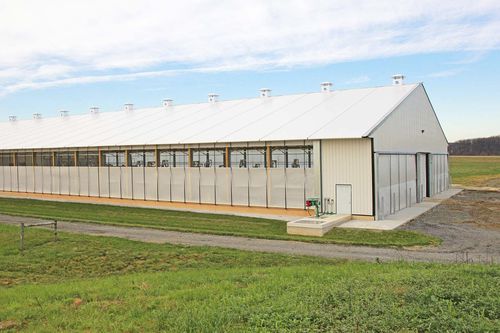 Ветрозащитный экран - Sturdy Built Manufacturing,LLC - для животноводства
