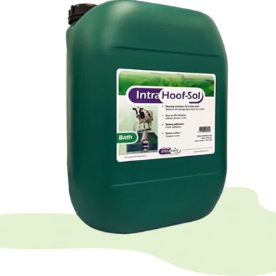 Раствор для копыт для крупного рогатого скота - B4220E - Diamond Hoof Care Ltd - на основе цинка / без антибиотиков / на основе меди