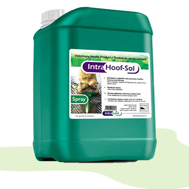 Спрей для ухода за копытами спрей - NN.U5D5 - Diamond Hoof Care Ltd - для крупного рогатого скота / для робототехники