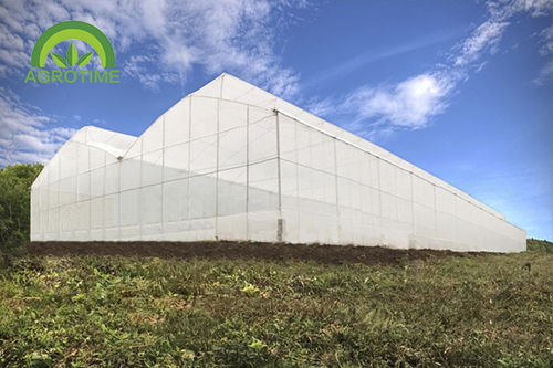 Теплица с несколькими сводами - CM B1230 - CHINA AGROTIME - стальная конструкция / с водосточным желобом / для клубники