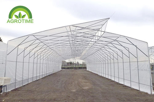Теплица венло - CMB3810 - CHINA AGROTIME - из пластика