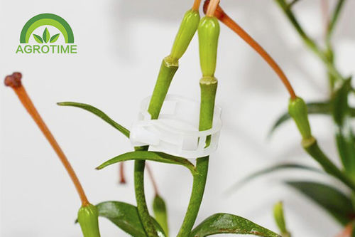 Клипса для поддержки растений из пластика - CHINA AGROTIME - для помидоров / с крючками