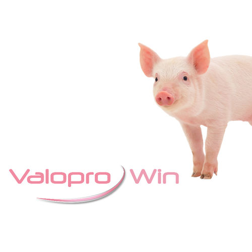 Пищевая присадка для свинины - Valopro Win - MiXscience - сухая