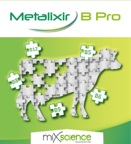 Пищевая присадка для крупного рогатого скота - Metalixir B Pro - MiXscience - сухая